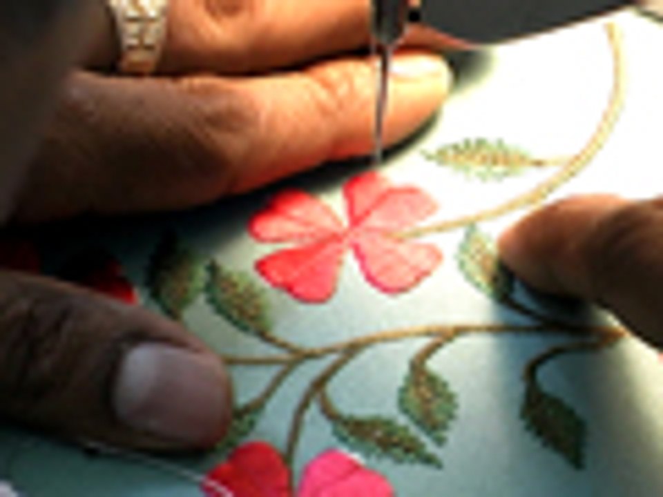 Manuel's Free-Motion Embroidery Technique