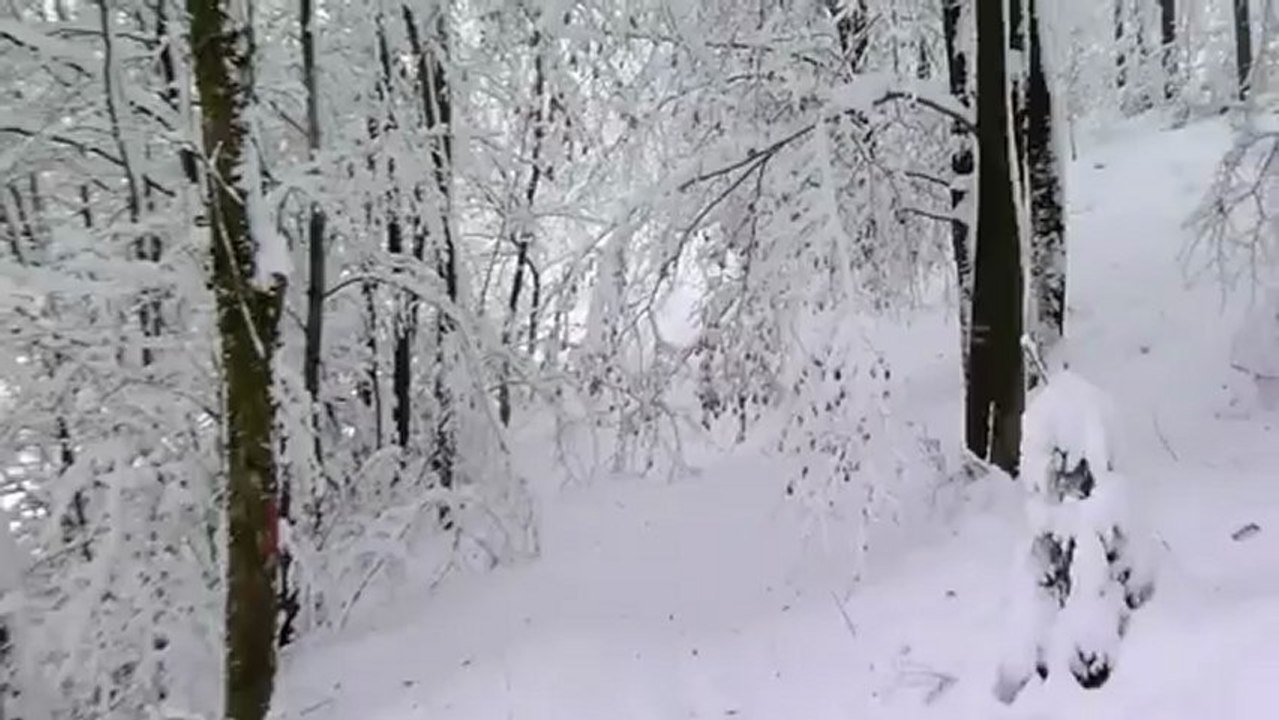 Rando-Neige