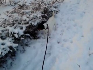 pilou et  la neige
