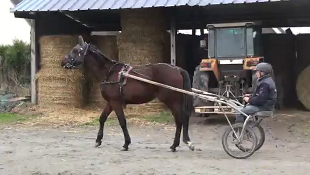 ENTREE EN PISTE DE BROK CAFE ET BOY DE REBOMARD