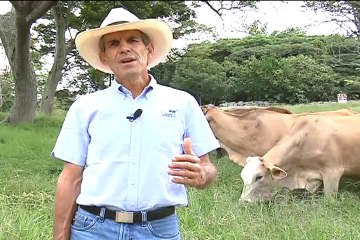 Ganaderia San Gabriel Enero 19 de 2012 web