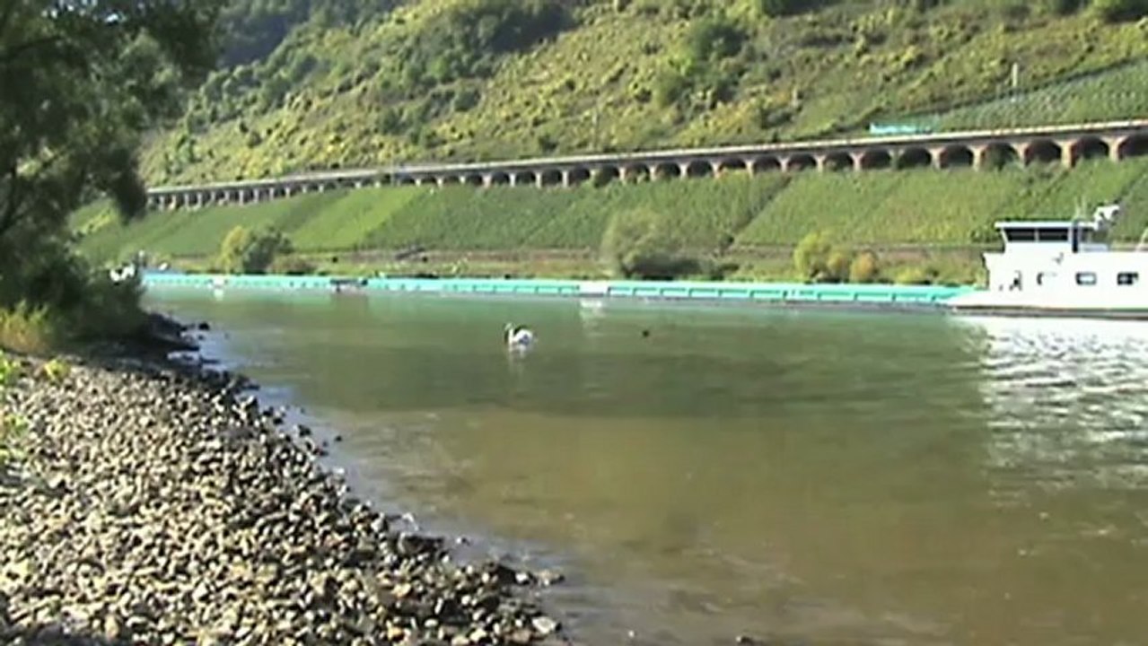 Viadukt Pünderich a.d. Mosel Entspannungsvideo mit Moselschiffen und zwei Nahverkehrszügen