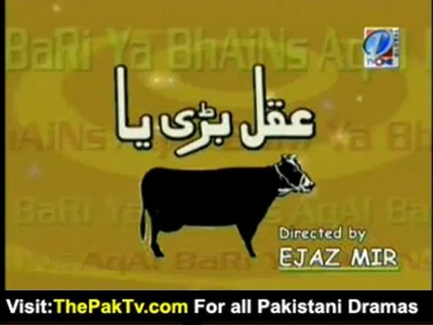 Aqal Bari ya Bhains Episode 8 By Tvone - Full Episode