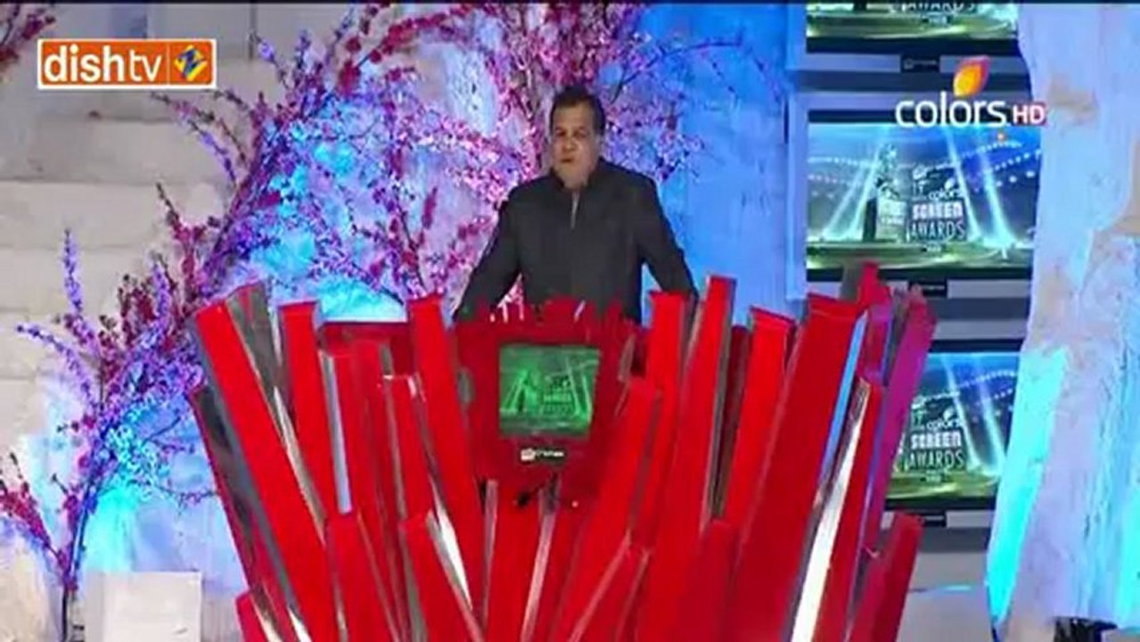 Colors 19th Screen Awards 19th January 2013 Part2