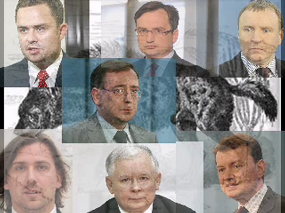 'Wszystko jest piękne, wystarczy tylko umieć dobrze spojrzeć' /Camille~Pissarro/