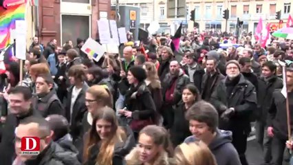 Manifestation pro-mariage gay à Toulouse