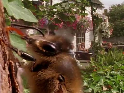 Animales Sobrenaturales cap. 6