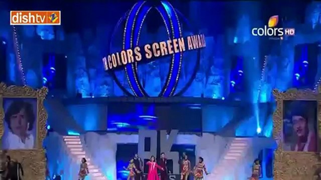 Colors 19th Screen Awards 19th January 2013 Part8