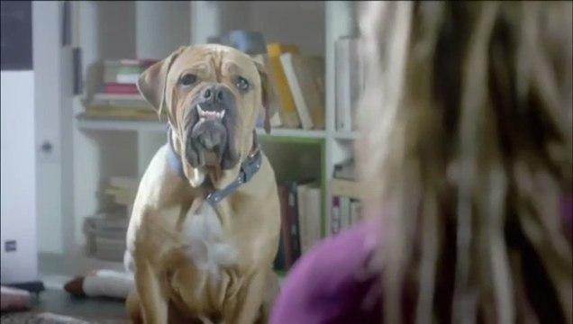 20121231 1705 ORF1 HD Mömax.mp4