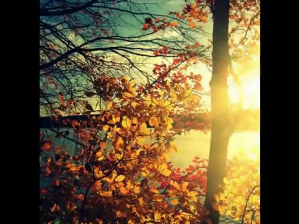 Meine Liebe ist der Norden!!!!!