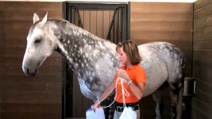 De-Spooking Your Horse (2 of 3)