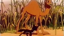 THE LITTLE JACKAL AND THE LITTLE CAMEL (USSR, 1956) (with English subtitles)