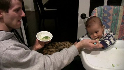 Bengal Cat Rumble "Helps" me Feed the Baby Linus Cat Tips