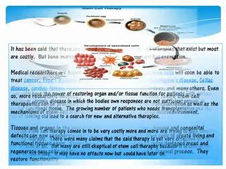 Springhill Medical Group-What is Stem Cell Therapy?