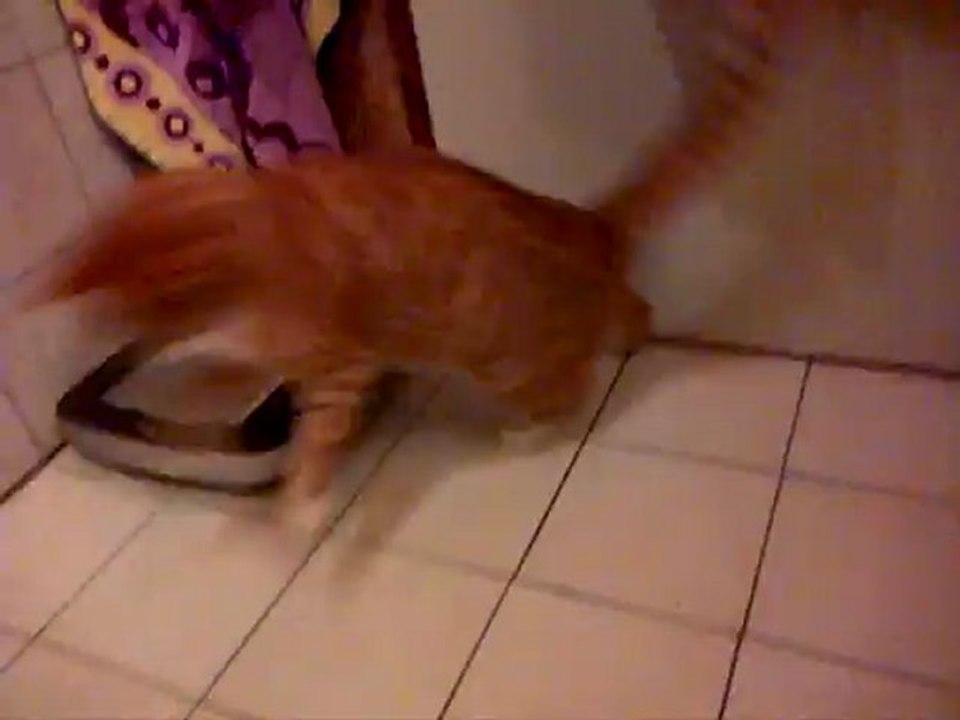 Jack! ♥