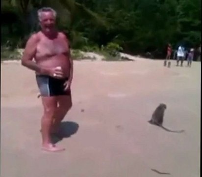 Old guy gets owned by monkeys bonno van der putten