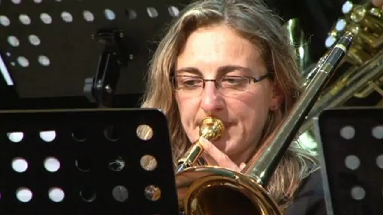 Banda Los Gaujos 2012 11 Chameleon