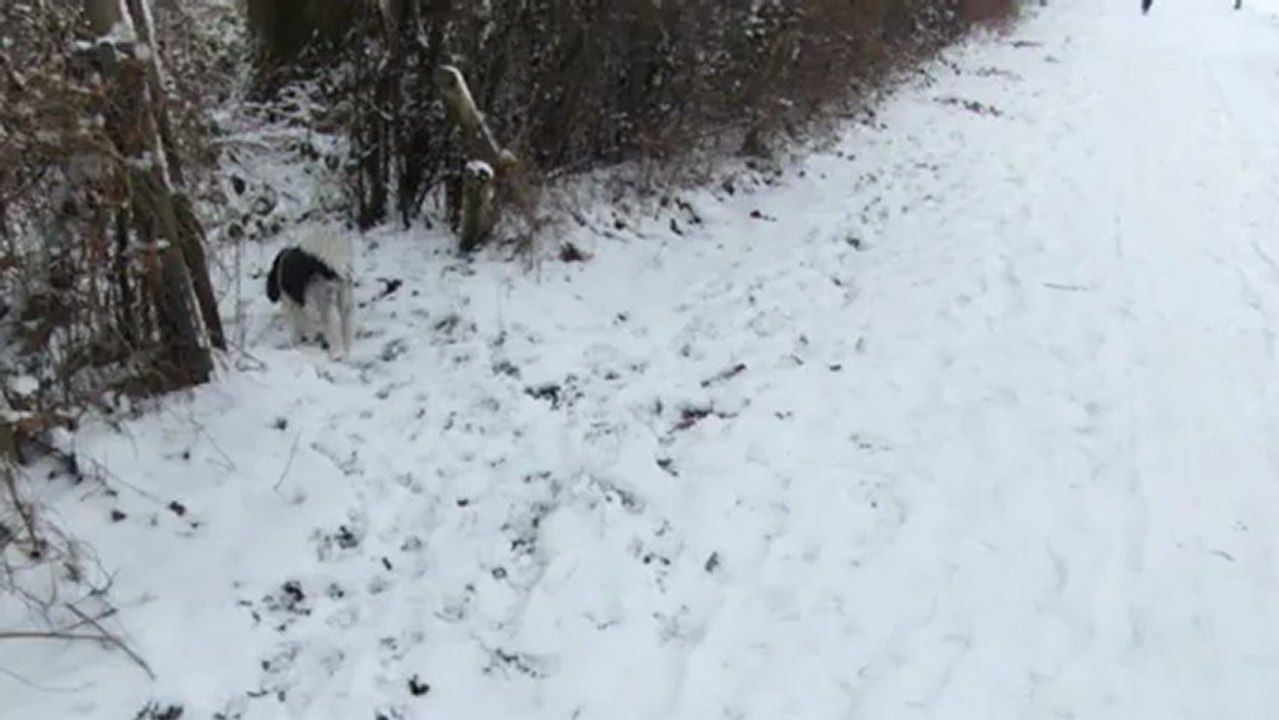 Emla joue dans la neige