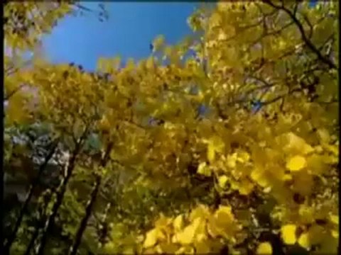 Рубен Ахвердян - Осень нашей любви