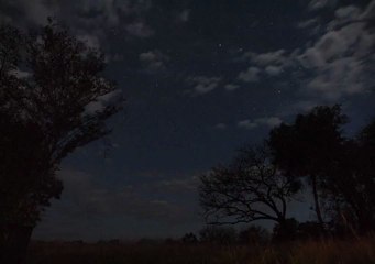 Timelapse sur la Croix du Sud