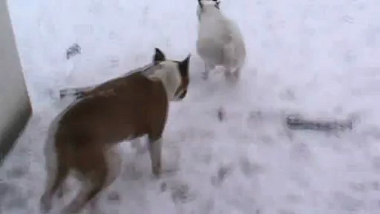 les 2 naz et la neige 20.01.13