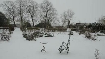 comenius, il neige