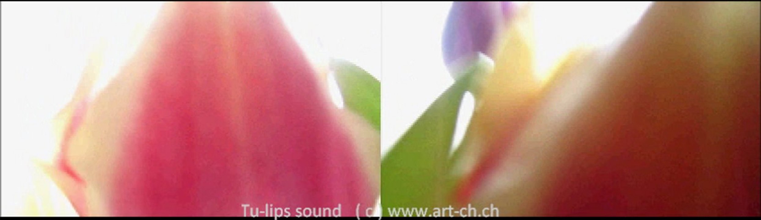 Tu-lips sound Part 1