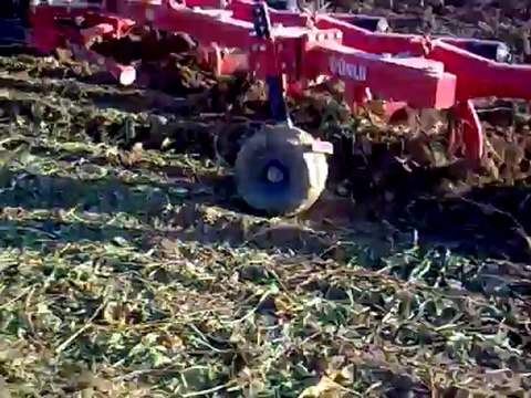 90-80 13lü tam otomatik ünlü pulluk ile pancar yeri aktarmasında