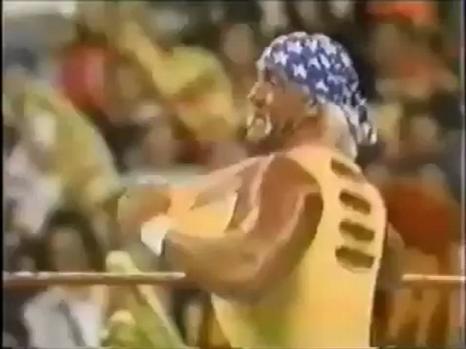 Pro Wrestling's Hold on America