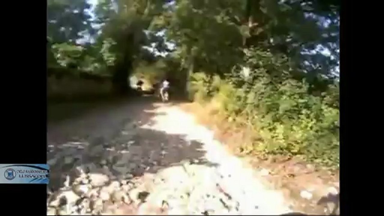 moto modif