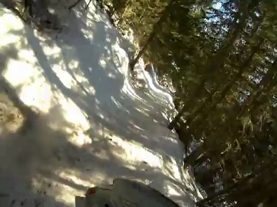 TORNADO