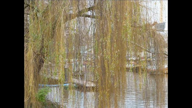 Sur les bors de l'Erdre à Nantes