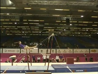 3 -  POSCIC Ana, CRO, BARRES