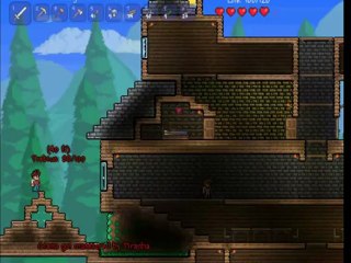 Ich bin sowas von unlustig - Terraria 10 - Two Idiots Gaming