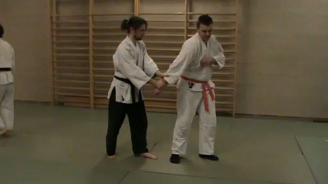 Gyaku hanmi morote dori : exemple sortie goshin