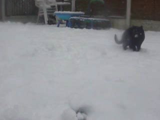 Snowtime with Jet