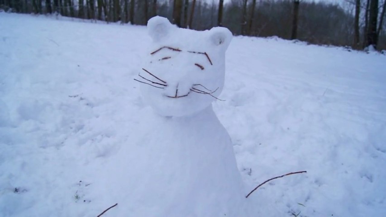 20 Janvier 2013 : Épisode de neige & de verglas majeur