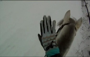 galop dans la neige 20/01/13