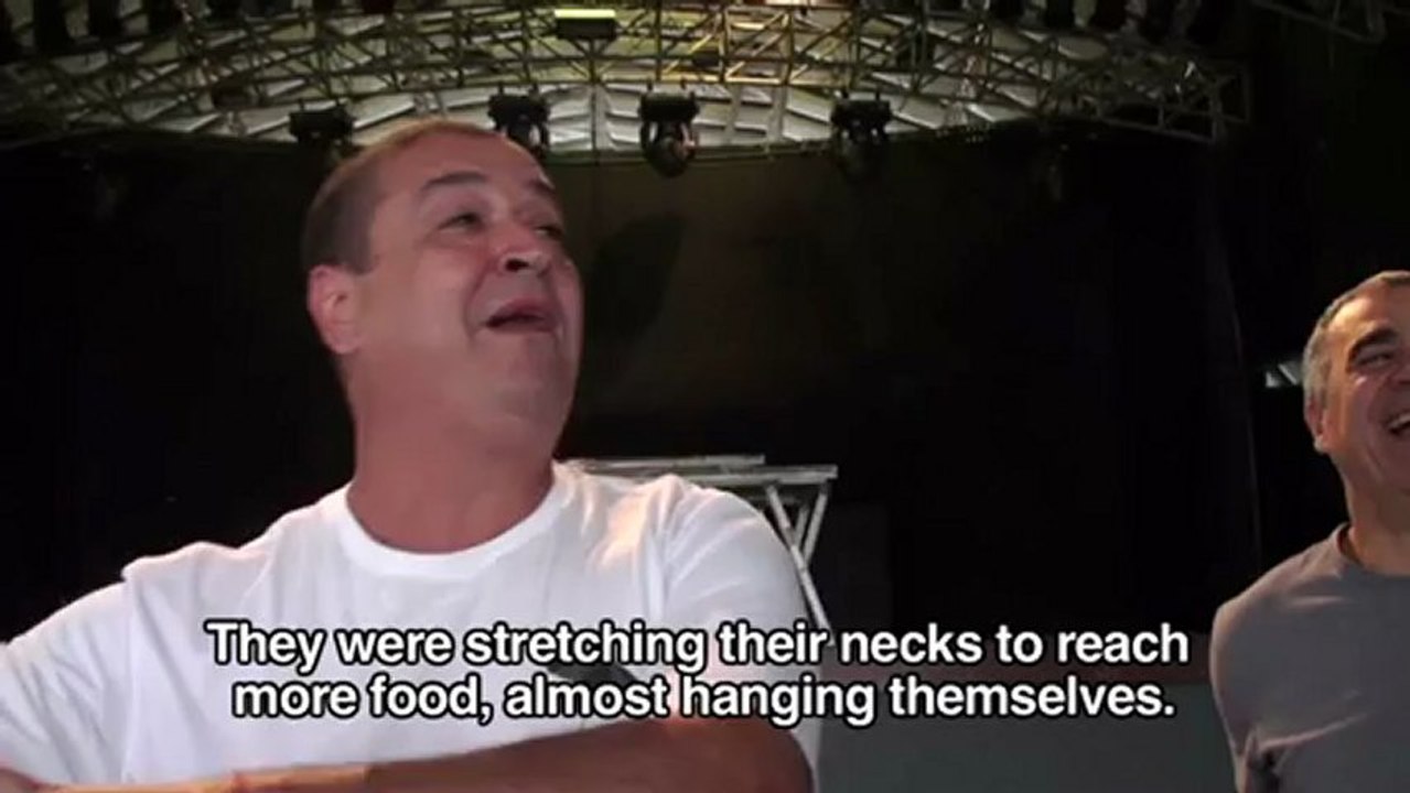 The Existential Stories of Tim Maia - COWS!