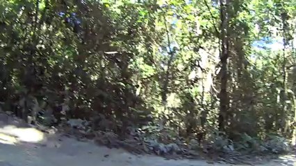 Selva Maya MTB