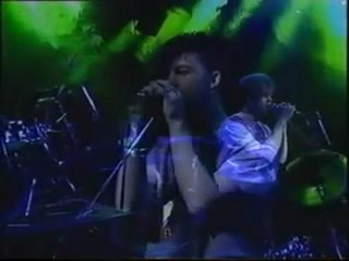 1983 - Pale Shelter / Ideas as Opiates (Switch)