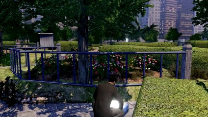 [S8][P3] Sleeping Dogs