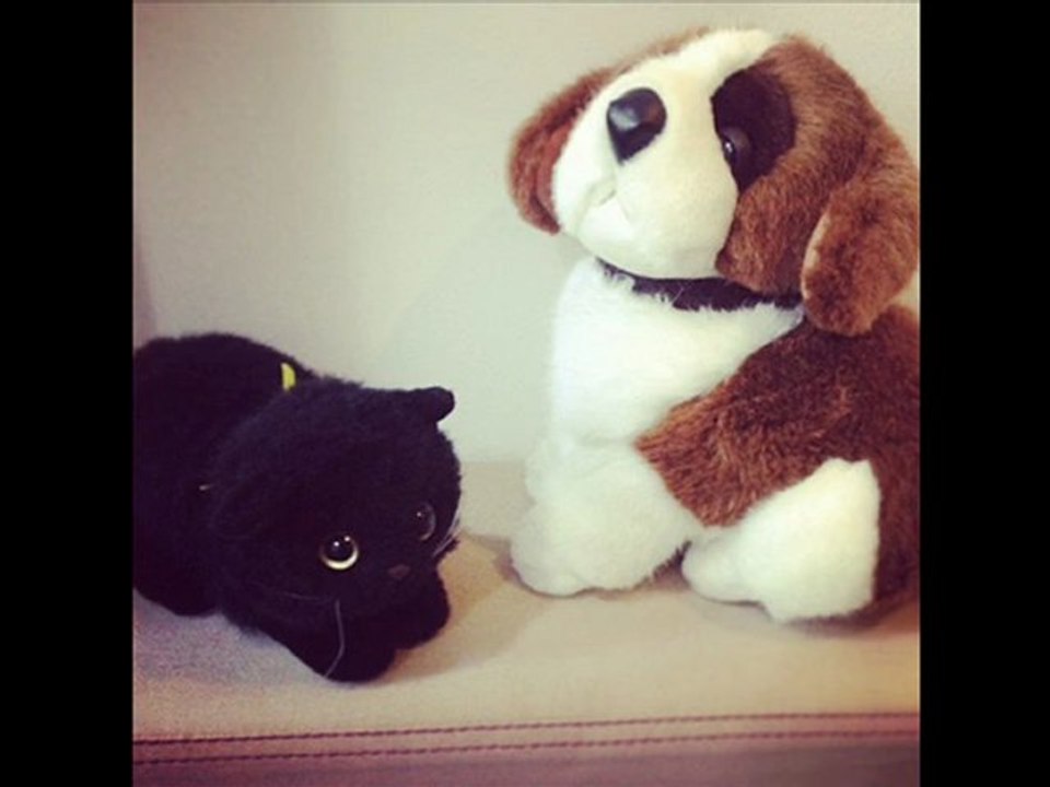 dog  ใบลาออก