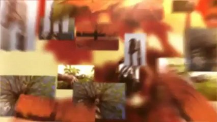 American Tree Movers Etc - (989) 624-1322