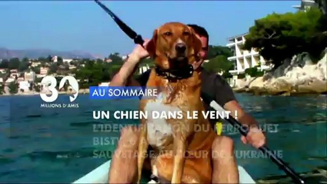 Sommaire émission 30 Millions d'Amis 26/1/2013