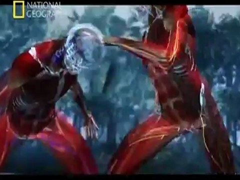 Malezyanin Dovus sanati Silat