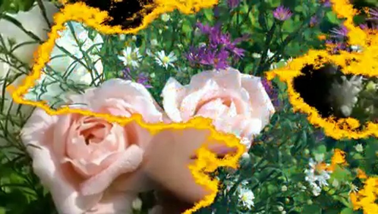 Dražen Zečić - Volio bih da te vidim sretnu