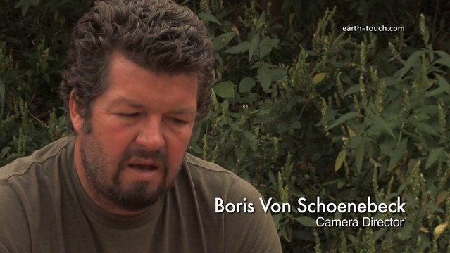 Cameraman Witnesses Gruesome Baboon Attack | Wildlife Raw & Uncut Ep2