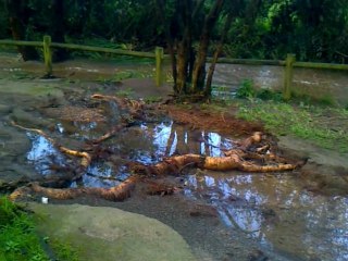 Cierre del sendero por la crecida del río en Candás