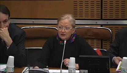 160113 Commission du développement durable : réponses de Catherine Quéré dans le cadre de la communication sur la mission en Guyane